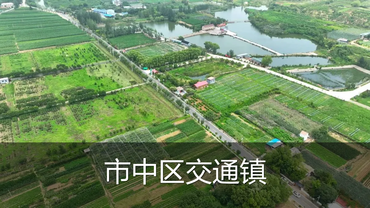 市中区交通镇