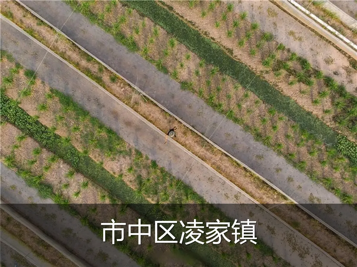 市中区凌家镇
